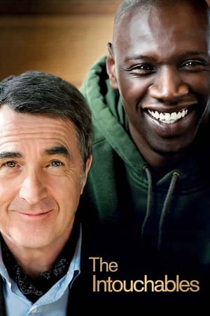 Quasi amici - Intouchables - The Intouchables (2011)