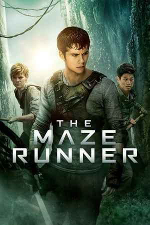 Maze Runner - Il labirinto - The Maze Runner (2014)