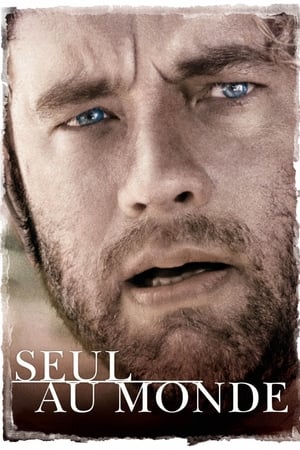 Seul au monde - Cast Away (2000)