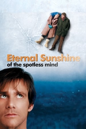 Se mi lasci ti cancello - Eternal Sunshine of the Spotless Mind (2004)