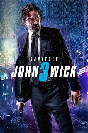 John Wick 3: Parabellum - John Wick: Chapter 3 - Parabellum (2019)
