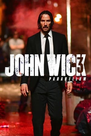 John Wick : Chapitre 3 - Parabellum - John Wick: Chapter 3 - Parabellum (2019)