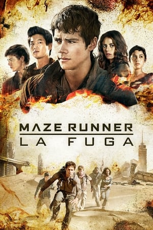 Maze Runner - La fuga - Maze Runner: The Scorch Trials (2015)