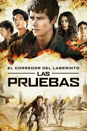 Maze Runner: Prueba de fuego - Maze Runner: The Scorch Trials (2015)