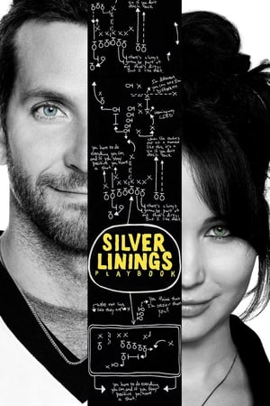Il lato positivo - Silver Linings Playbook (2012)