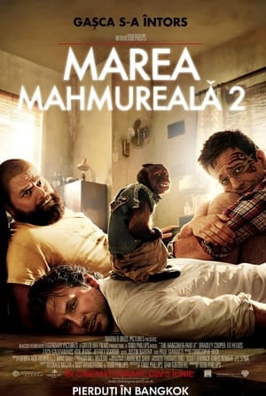 Marea mahmureală 2 - The Hangover Part II (2011)