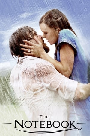 Diario de una Pasión - The Notebook (2004)