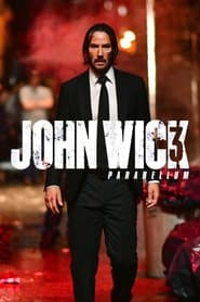 John Wick : Chapitre 3 - Parabellum - John Wick: Chapter 3 - Parabellum (2019)
