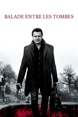 Entre les tombes - A Walk Among the Tombstones (2014)