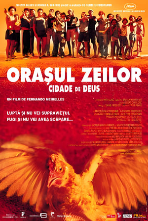 Orașul Zeilor - City of God (2002)