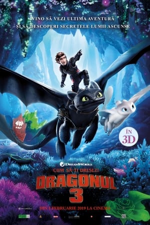 Cum să-ți dresezi dragonul 3 - How to Train Your Dragon: The Hidden World (2019)