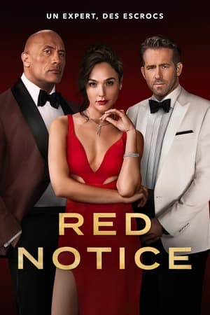 Notice Rouge - Red Notice (2021)
