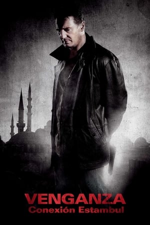 Búsqueda implacable 2 - Taken 2 (2012)