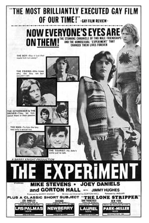 The Experiment (1973)