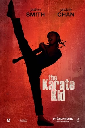 Karate Kid - The Karate Kid (2010)
