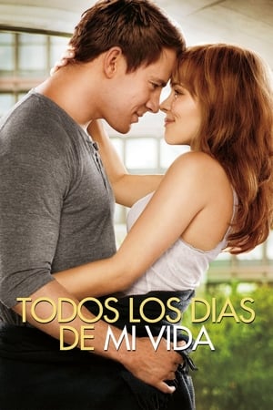 Votos de amor - The Vow (2012)