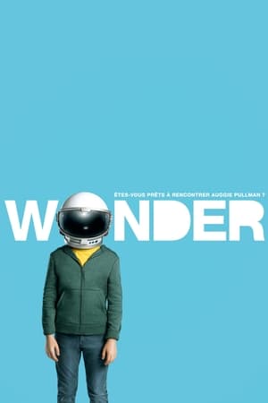 Merveilleux - Wonder (2017)