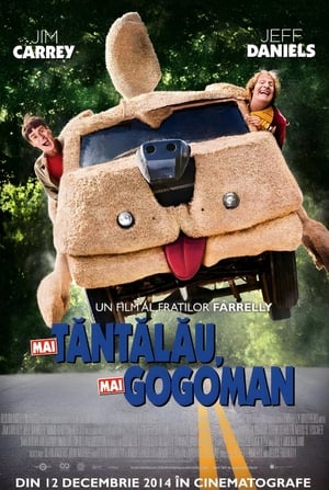 Mai tăntălău, mai gogoman - Dumb and Dumber To (2014)