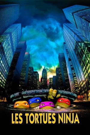 Les Tortues Ninja - Teenage Mutant Ninja Turtles (1990)