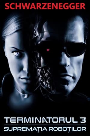 Terminatorul 3: Supremația roboților - Terminator 3: Rise of the Machines (2003)