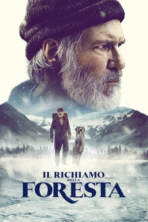 Il richiamo della foresta - The Call of the Wild (2020)