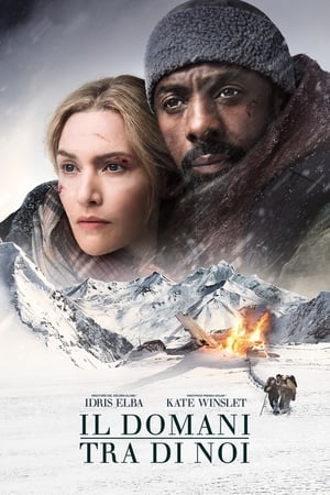 Il domani tra di noi - The Mountain Between Us (2017)