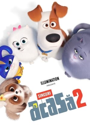 Singuri acasă 2 - The Secret Life of Pets 2 (2019)