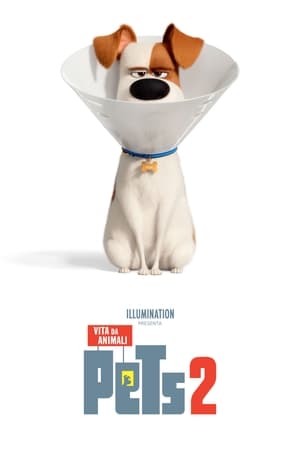 Pets 2 - Vita da animali - The Secret Life of Pets 2 (2019)