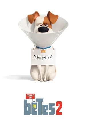 Comme des bêtes 2 - The Secret Life of Pets 2 (2019)