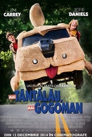 Mai tăntălău, mai gogoman - Dumb and Dumber To (2014)