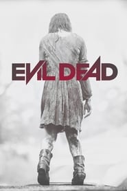 L'Opéra de la terreur - Evil Dead (2013)