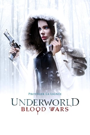 Monde infernal : La guerre du sang - Underworld: Blood Wars (2016)