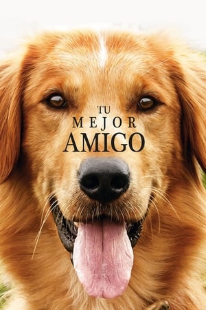 La razón de estar contigo - A Dog's Purpose (2017)