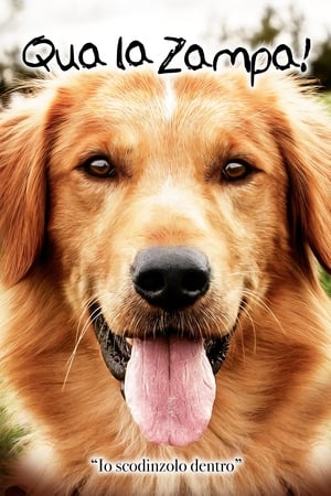 Qua la zampa! - A Dog's Purpose (2017)