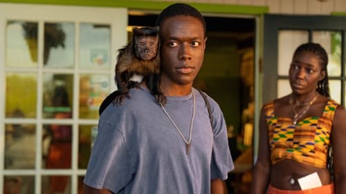 movies/2024-08-24/bad-monkey-8NaQ2IiugoArETYFxAhIyYYx9BG.jpg