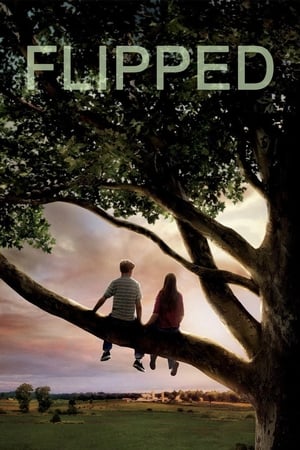 Mi Primer Amor - Flipped (2010)