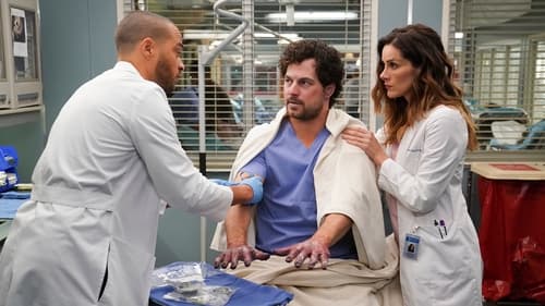 movies/2024-08-24/greys-anatomy-11AMIkcZCZJSKVnAoRb43yFxabD.jpg
