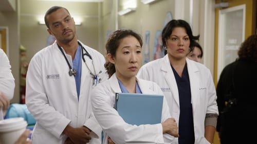 movies/2024-08-24/greys-anatomy-13kqVceOJKSVLUBfNjo1DSjKcOZ.jpg