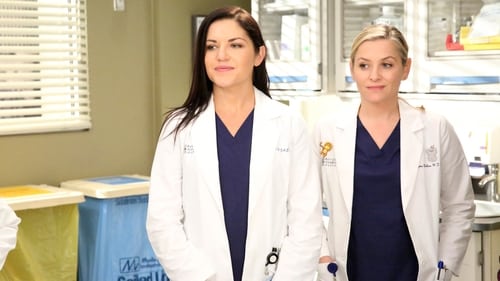 movies/2024-08-24/greys-anatomy-1HAnf9U0vrSFjxFbhk2pkQ6T5FK.jpg