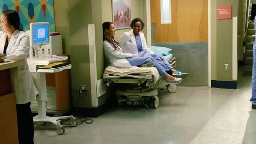 movies/2024-08-24/greys-anatomy-1dLUZgJvtdwKvg5HjzttwfewmTy.jpg