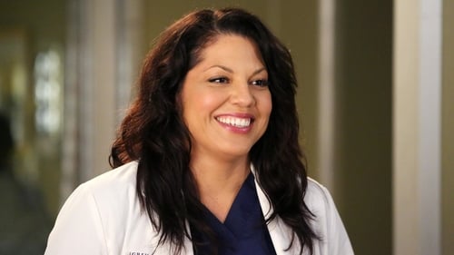 movies/2024-08-24/greys-anatomy-1rMeW0jLMgSl5qifTzwnn90S8St.jpg