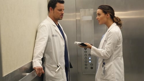 movies/2024-08-24/greys-anatomy-2EOrklpjPqUc65rEeU5fJsD7bOl.jpg