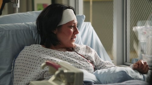 movies/2024-08-24/greys-anatomy-2YEIfo0Osbof0q8Jfb9xbyU1GO7.jpg
