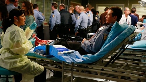 movies/2024-08-24/greys-anatomy-2Zh1Dxuj2y24XQDto4dgWg9q346.jpg