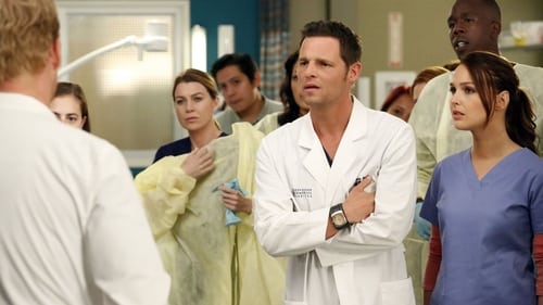 movies/2024-08-24/greys-anatomy-2hLfBFPF3iUvHzuprWrrGJQ7yAK.jpg