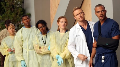 movies/2024-08-24/greys-anatomy-2otC8OYDvXQHogQIrHB668wIXs9.jpg