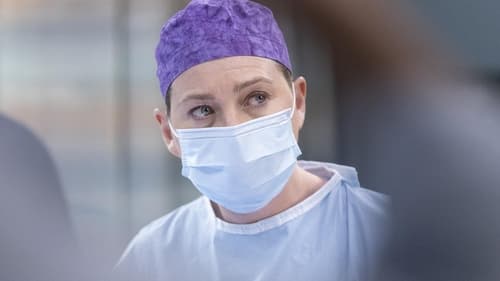 movies/2024-08-24/greys-anatomy-2pG6qdgohXDBRhC0GO60Yqd2Vr9.jpg