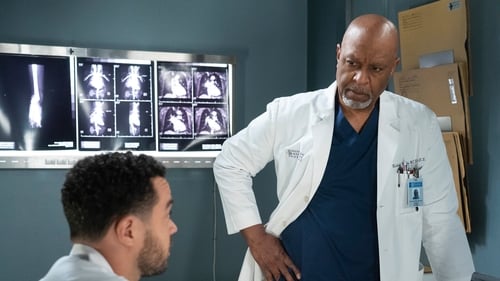 movies/2024-08-24/greys-anatomy-2w48gyff4WXZryWplbY9ZPqy1qY.jpg