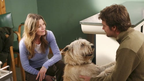 movies/2024-08-24/greys-anatomy-33M8FCM9HYIZXt1xS56HyP3O0MY.jpg