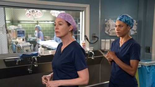 movies/2024-08-24/greys-anatomy-3BcGwLU3viOkFAjn5ykuV4rsC03.jpg